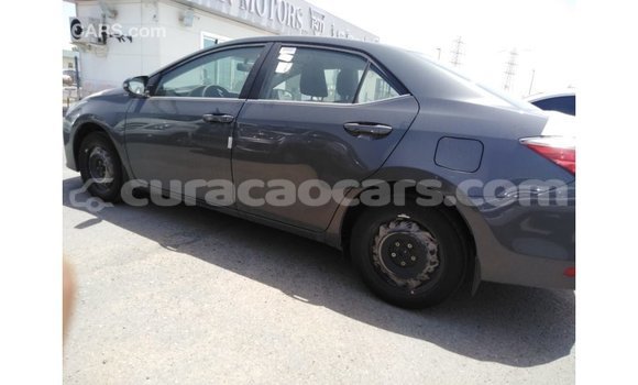Buy Import Toyota Corolla Other Car in Import - Dubai in Curacao Buy Import Toyota Corolla Other Car in Import - Dubai in Curacao