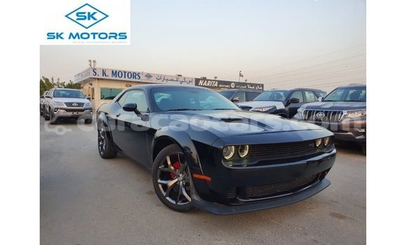 Buy Import Dodge Challenger Black Car in Import - Dubai in Curacao