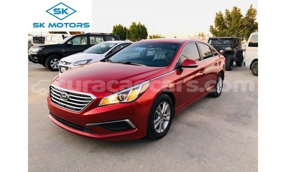 Buy Import Hyundai Sonata Red Car in Import - Dubai in Curacao