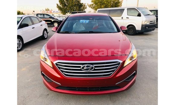 Buy Import Hyundai Sonata Red Car in Import - Dubai in Curacao Buy Import Hyundai Sonata Red Car in Import - Dubai in Curacao
