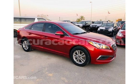 Buy Import Hyundai Sonata Red Car in Import - Dubai in Curacao Buy Import Hyundai Sonata Red Car in Import - Dubai in Curacao