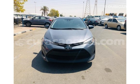 Buy Import Toyota Corolla Other Car in Import - Dubai in Curacao Buy Import Toyota Corolla Other Car in Import - Dubai in Curacao