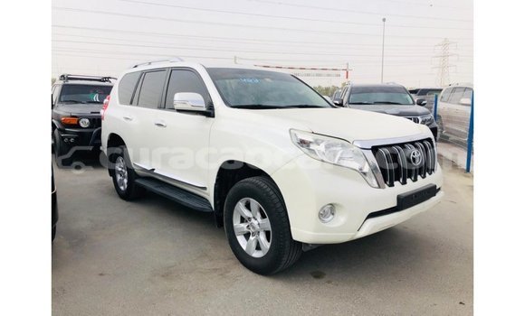Buy Import Toyota Prado White Car in Import - Dubai in Curacao