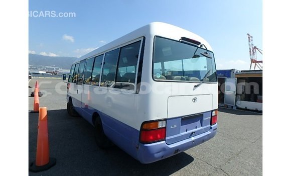 Buy Import Toyota Coaster White Car in Import - Dubai in Curacao Buy Import Toyota Coaster White Car in Import - Dubai in Curacao