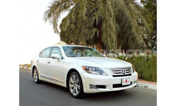 Buy Import Lexus LS White Car in Import - Dubai in Curacao