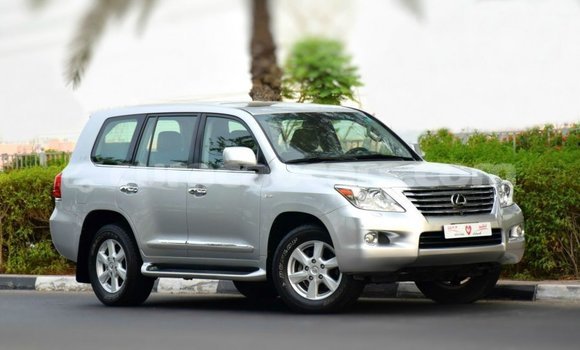 Buy Import Lexus LX Other Car in Import - Dubai in Curacao