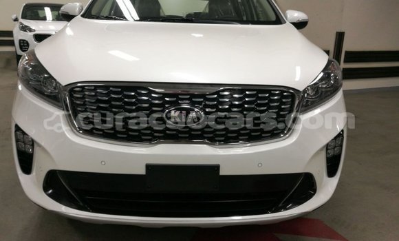 Buy Import Kia Sorento White Car in Import - Dubai in Curacao