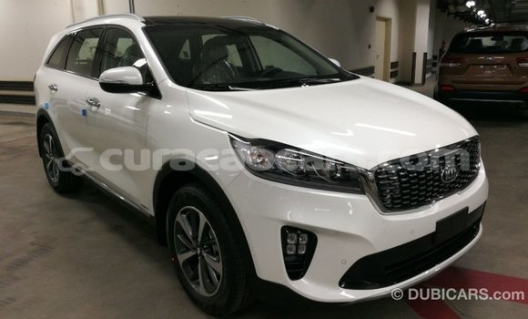 Buy Import Kia Sorento White Car in Import - Dubai in Curacao Buy Import Kia Sorento White Car in Import - Dubai in Curacao