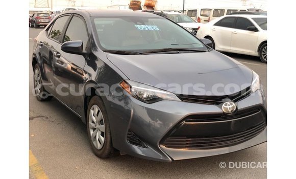 Buy Import Toyota Corolla Other Car in Import - Dubai in Curacao Buy Import Toyota Corolla Other Car in Import - Dubai in Curacao