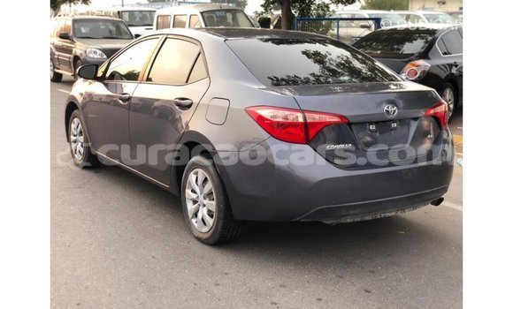 Buy Import Toyota Corolla Other Car in Import - Dubai in Curacao Buy Import Toyota Corolla Other Car in Import - Dubai in Curacao