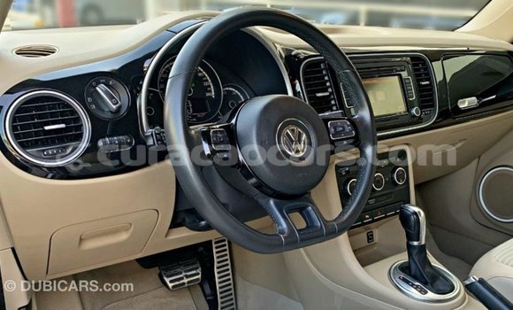 Buy Import Volkswagen Beetle Black Car in Import - Dubai in Curacao Buy Import Volkswagen Beetle Black Car in Import - Dubai in Curacao