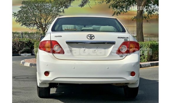 Buy Import Toyota Corolla White Car in Import - Dubai in Curacao Buy Import Toyota Corolla White Car in Import - Dubai in Curacao