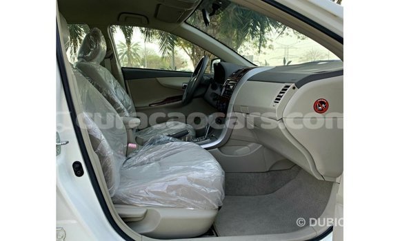 Buy Import Toyota Corolla White Car in Import - Dubai in Curacao Buy Import Toyota Corolla White Car in Import - Dubai in Curacao