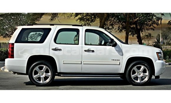 Buy Import Chevrolet Tahoe White Car in Import - Dubai in Curacao Buy Import Chevrolet Tahoe White Car in Import - Dubai in Curacao