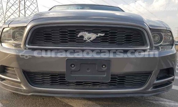 Buy Import Ford Mustang Other Car in Import - Dubai in Curacao Buy Import Ford Mustang Other Car in Import - Dubai in Curacao