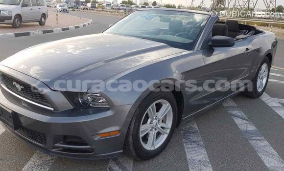 Buy Import Ford Mustang Other Car in Import - Dubai in Curacao Buy Import Ford Mustang Other Car in Import - Dubai in Curacao