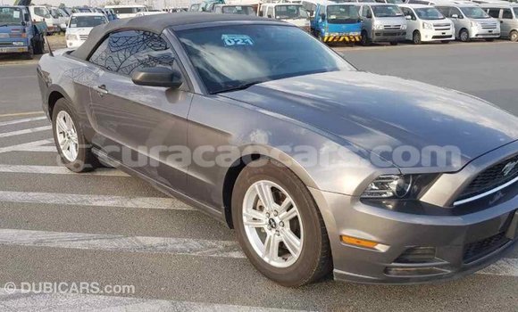 Buy Import Ford Mustang Other Car in Import - Dubai in Curacao Buy Import Ford Mustang Other Car in Import - Dubai in Curacao