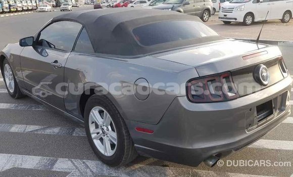 Buy Import Ford Mustang Other Car in Import - Dubai in Curacao Buy Import Ford Mustang Other Car in Import - Dubai in Curacao