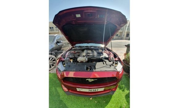 Buy Import Ford Mustang Red Car in Import - Dubai in Curacao Buy Import Ford Mustang Red Car in Import - Dubai in Curacao