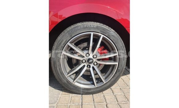 Buy Import Ford Mustang Red Car in Import - Dubai in Curacao Buy Import Ford Mustang Red Car in Import - Dubai in Curacao
