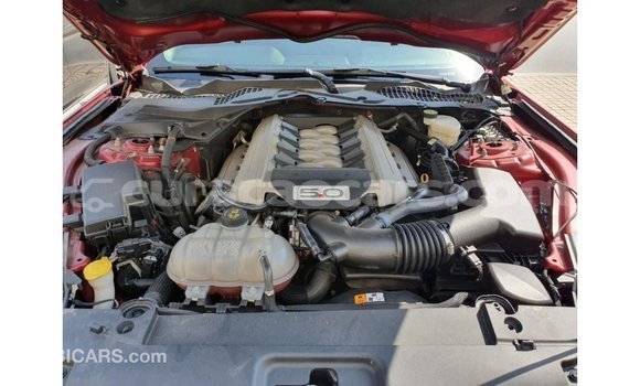 Buy Import Ford Mustang Red Car in Import - Dubai in Curacao Buy Import Ford Mustang Red Car in Import - Dubai in Curacao