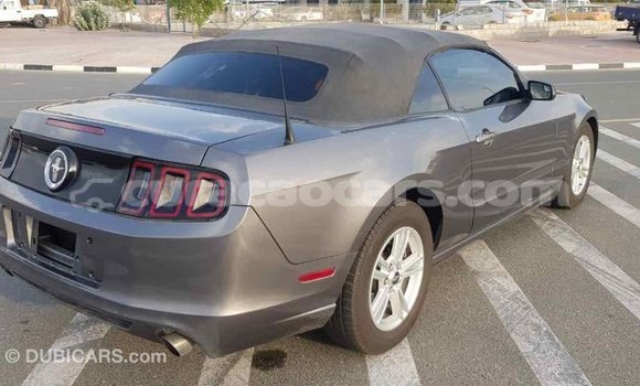 Buy Import Ford Mustang Other Car in Import - Dubai in Curacao Buy Import Ford Mustang Other Car in Import - Dubai in Curacao