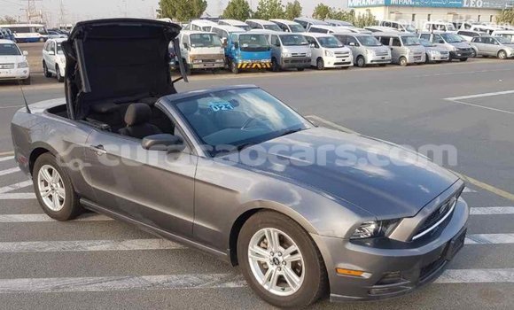 Buy Import Ford Mustang Other Car in Import - Dubai in Curacao Buy Import Ford Mustang Other Car in Import - Dubai in Curacao