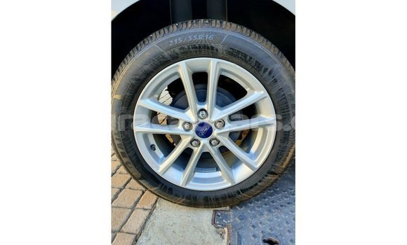 Buy Import Ford Focus White Car in Import - Dubai in Curacao Buy Import Ford Focus White Car in Import - Dubai in Curacao
