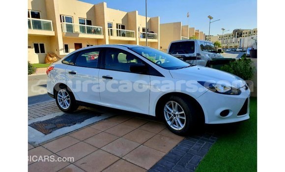 Buy Import Ford Focus White Car in Import - Dubai in Curacao Buy Import Ford Focus White Car in Import - Dubai in Curacao