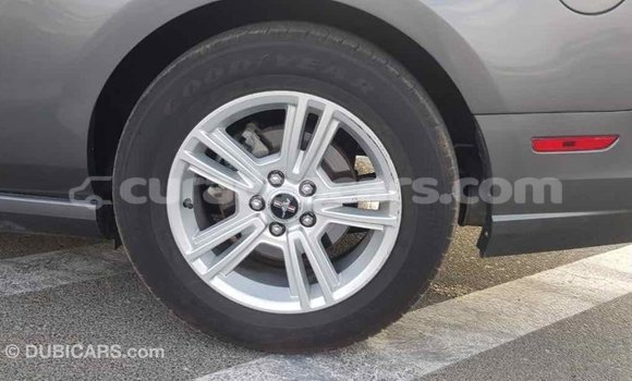 Buy Import Ford Mustang Other Car in Import - Dubai in Curacao Buy Import Ford Mustang Other Car in Import - Dubai in Curacao