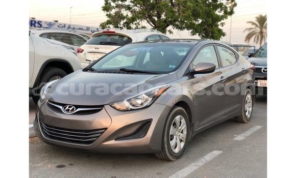 Buy Import Hyundai Elantra Brown Car in Import - Dubai in Curacao Buy Import Hyundai Elantra Brown Car in Import - Dubai in Curacao