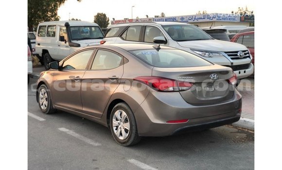 Buy Import Hyundai Elantra Brown Car in Import - Dubai in Curacao Buy Import Hyundai Elantra Brown Car in Import - Dubai in Curacao