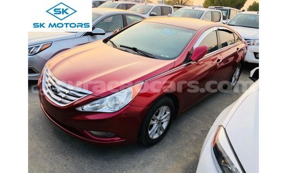 Buy Import Hyundai Sonata Red Car in Import - Dubai in Curacao