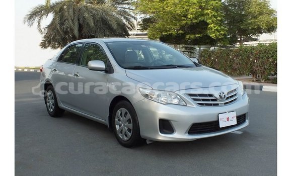 Buy Import Toyota Corolla Other Car in Import - Dubai in Curacao