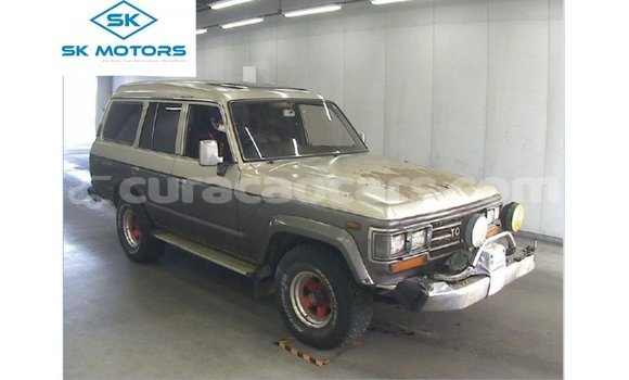 Buy Import Toyota Land Cruiser Other Car in Import - Dubai in Curacao Buy Import Toyota Land Cruiser Other Car in Import - Dubai in Curacao
