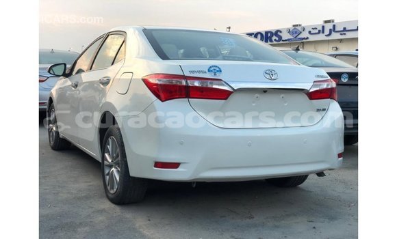 Buy Import Toyota Corolla White Car in Import - Dubai in Curacao Buy Import Toyota Corolla White Car in Import - Dubai in Curacao