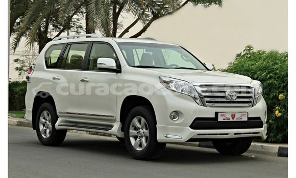 Buy Import Toyota Prado White Car in Import - Dubai in Curacao