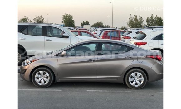 Buy Import Hyundai Elantra Brown Car in Import - Dubai in Curacao Buy Import Hyundai Elantra Brown Car in Import - Dubai in Curacao