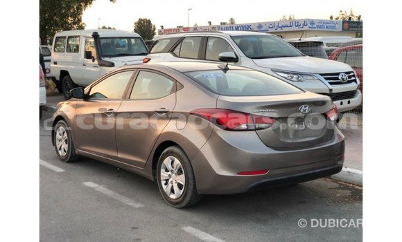 Buy Import Hyundai Elantra Brown Car in Import - Dubai in Curacao Buy Import Hyundai Elantra Brown Car in Import - Dubai in Curacao
