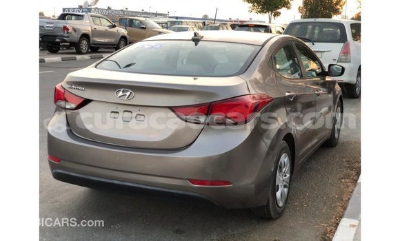 Buy Import Hyundai Elantra Brown Car in Import - Dubai in Curacao Buy Import Hyundai Elantra Brown Car in Import - Dubai in Curacao