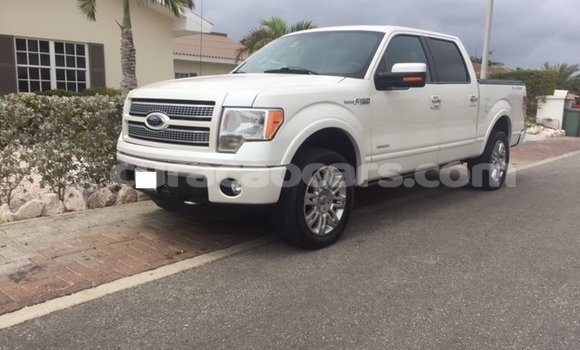 Buy Used Ford F–150 White Car in Willemstad in Curacao