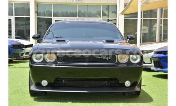 Buy Import Dodge Challenger Black Car in Import - Dubai in Curacao