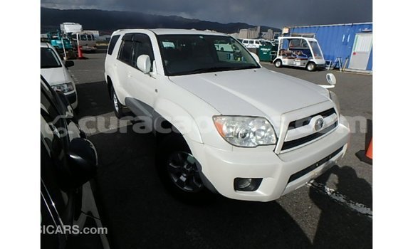 Buy Import Toyota Hilux White Car in Import - Dubai in Curacao Buy Import Toyota Hilux White Car in Import - Dubai in Curacao