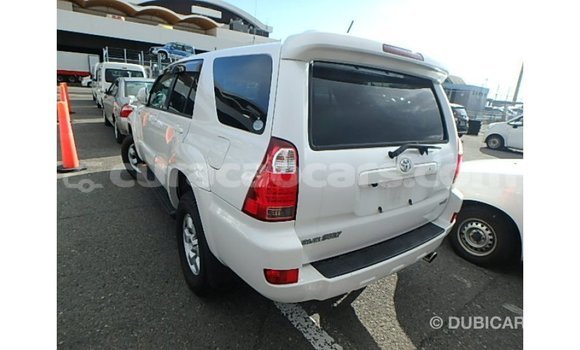 Buy Import Toyota Hilux White Car in Import - Dubai in Curacao Buy Import Toyota Hilux White Car in Import - Dubai in Curacao