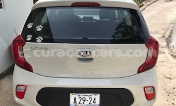 Buy Used Kia Picanto Beige Car in Barber in Curacao Buy Used Kia Picanto Beige Car in Barber in Curacao