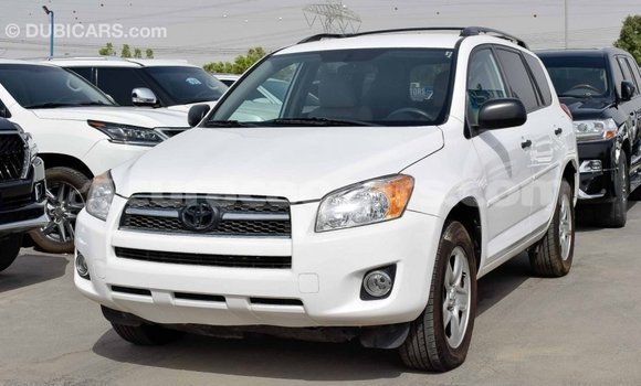 Buy Import Toyota HiAce White Truck in Import - Dubai in Curacao Buy Import Toyota HiAce White Truck in Import - Dubai in Curacao