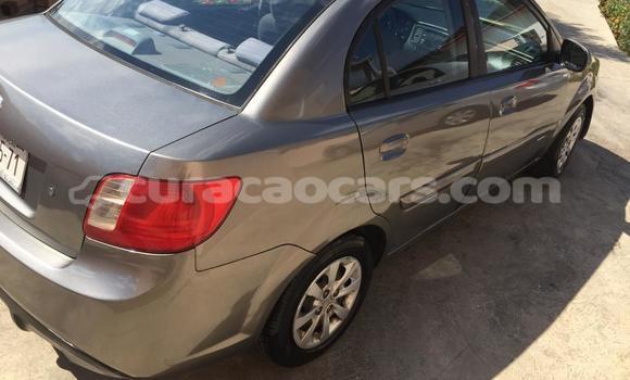 Buy Used Kia Rio Other Car in Willemstad in Curacao Buy Used Kia Rio Other Car in Willemstad in Curacao