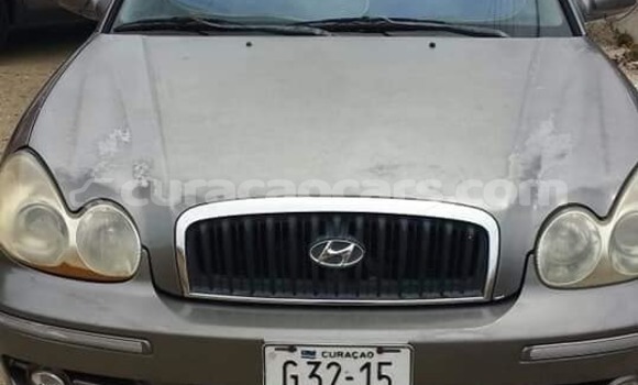 Buy Used Hyundai Sonata Brown Car in Barber in Curacao