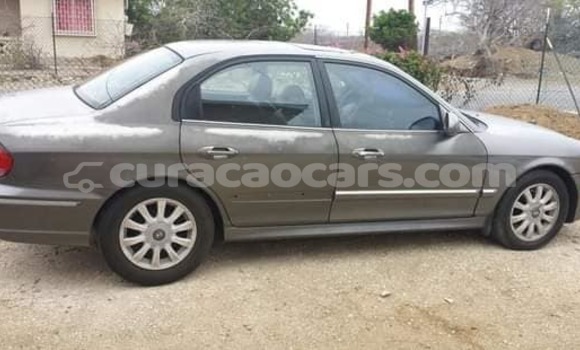 Buy Used Hyundai Sonata Brown Car in Barber in Curacao Buy Used Hyundai Sonata Brown Car in Barber in Curacao