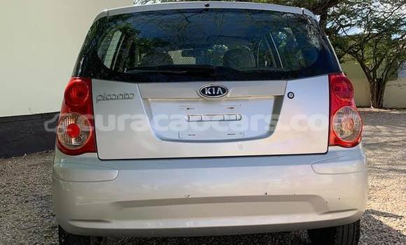 Buy Used Kia Picanto Silver Car in Barber in Curacao Buy Used Kia Picanto Silver Car in Barber in Curacao